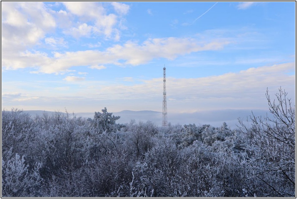 우리 집 지키는 텔레캅, 설치 전 꼼꼼하게 비교하세요