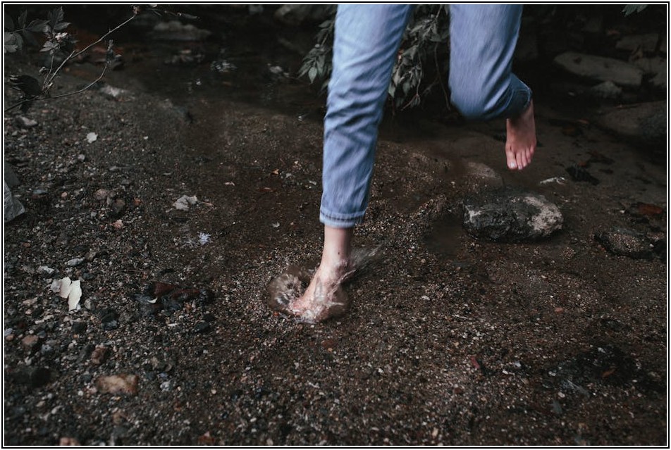 쫄깃한 족발의 세계: 역사, 종류, 그리고 즐기는 법