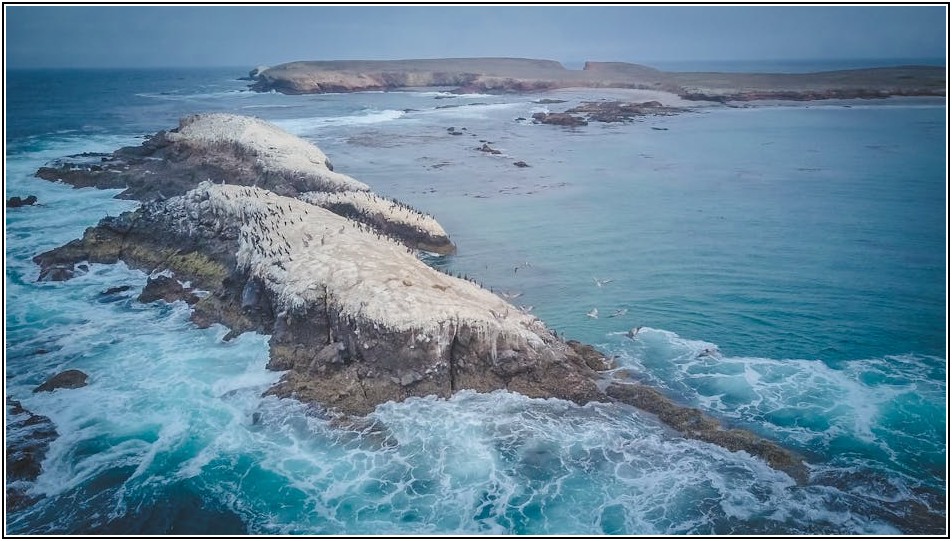나에게 맞는 명판 재질 찾기: 나무 금속 아크릴 비교