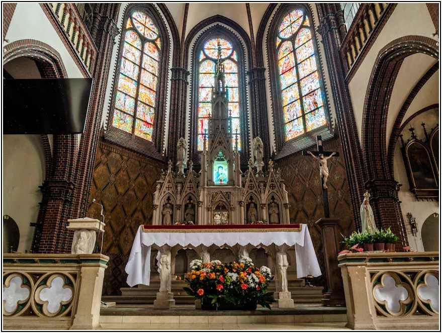 배양배지 제대로 알고 쓰자! 실험 성과 높이는 가이드