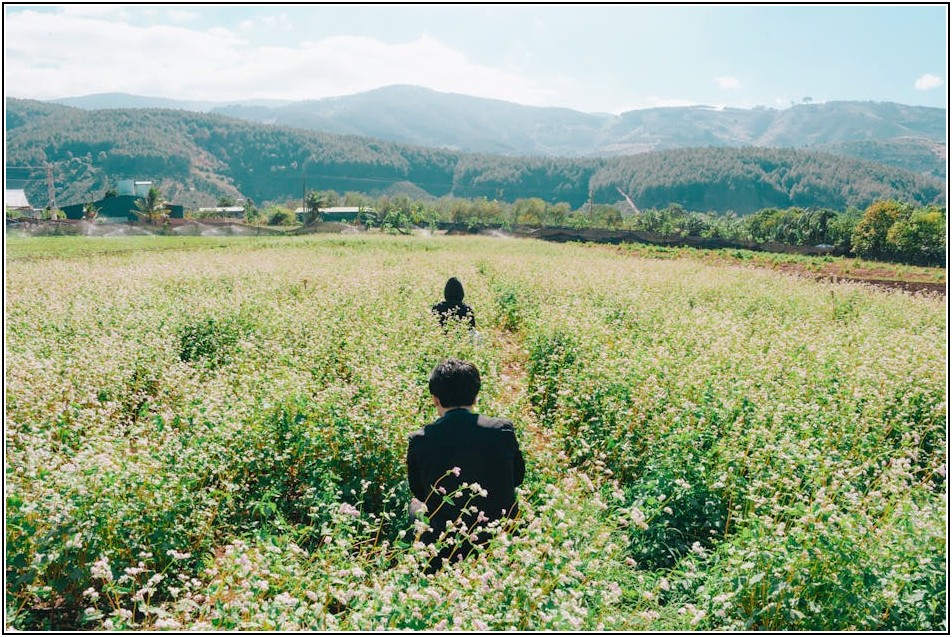 재신청 성공 전략: 개인회생 두 번 신청 가이드