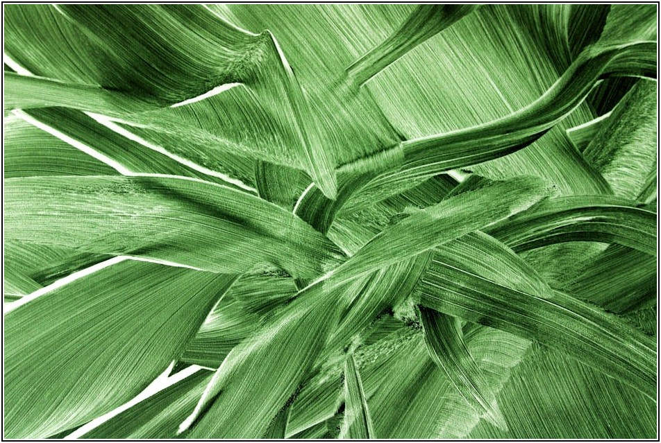 인쇄물 디자인 성공법, 리플렛 사이즈별 레이아웃