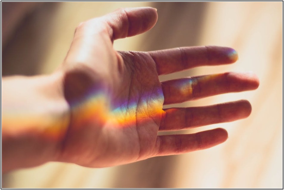 자동차 루프스킨, 스타일리시한 드레스업의 핵심