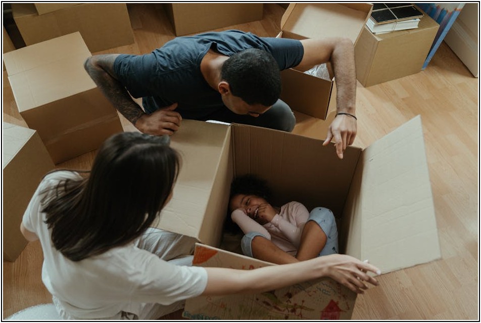 단프라 박스, 지금껏 몰랐던 4가지 놀라운 기능