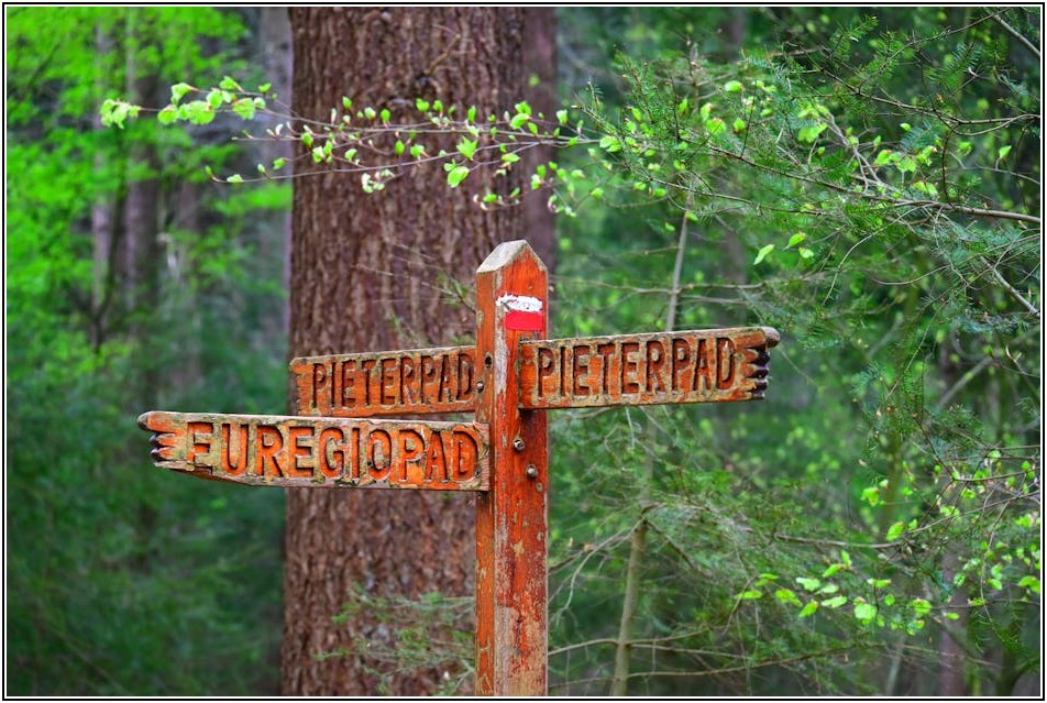 튼튼한 나무 입간판, 방수부터 보존까지 완벽 가이드