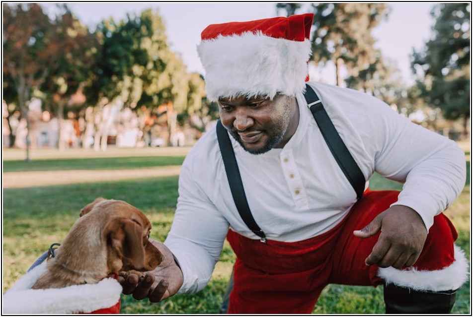 인스타 광고, 메타 플랫폼 성공 운영 가이드