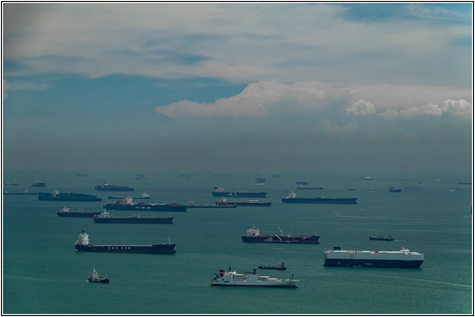 건강과 맛, 두 마리 토끼 잡는 멍게비빔밥 레시피