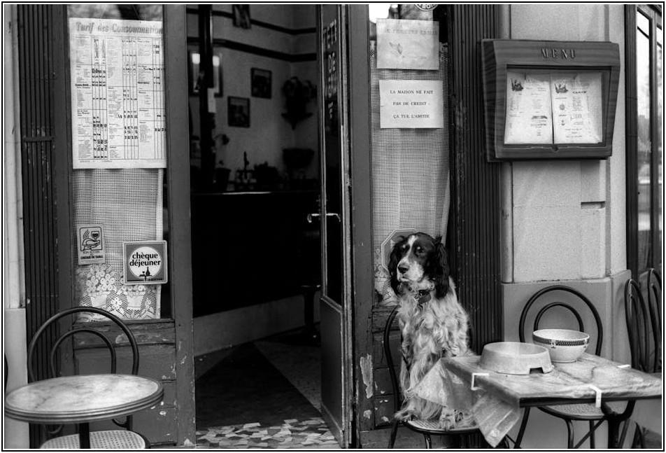 이색 맛집 천국 인사동, 외국인 추천 인기 맛집