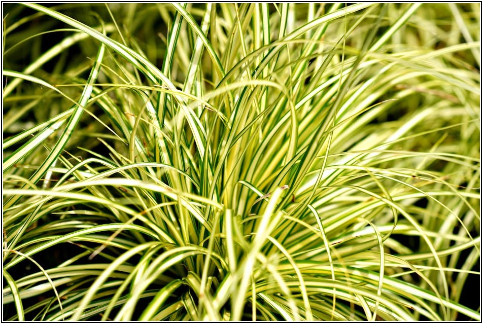 보행자 보호부터 차량 통제까지, U형 볼라드의 모든 것