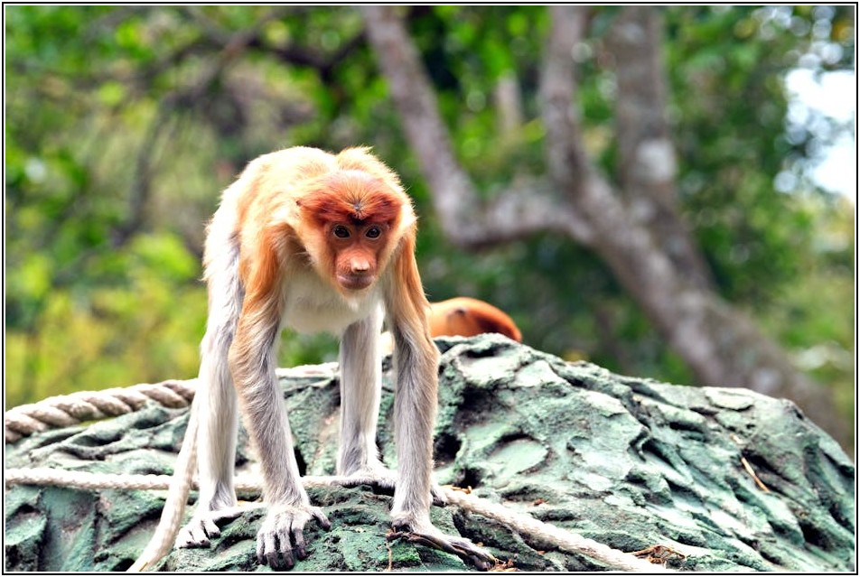 올리브영 창업, 예상치 못한 난관과 돌파구