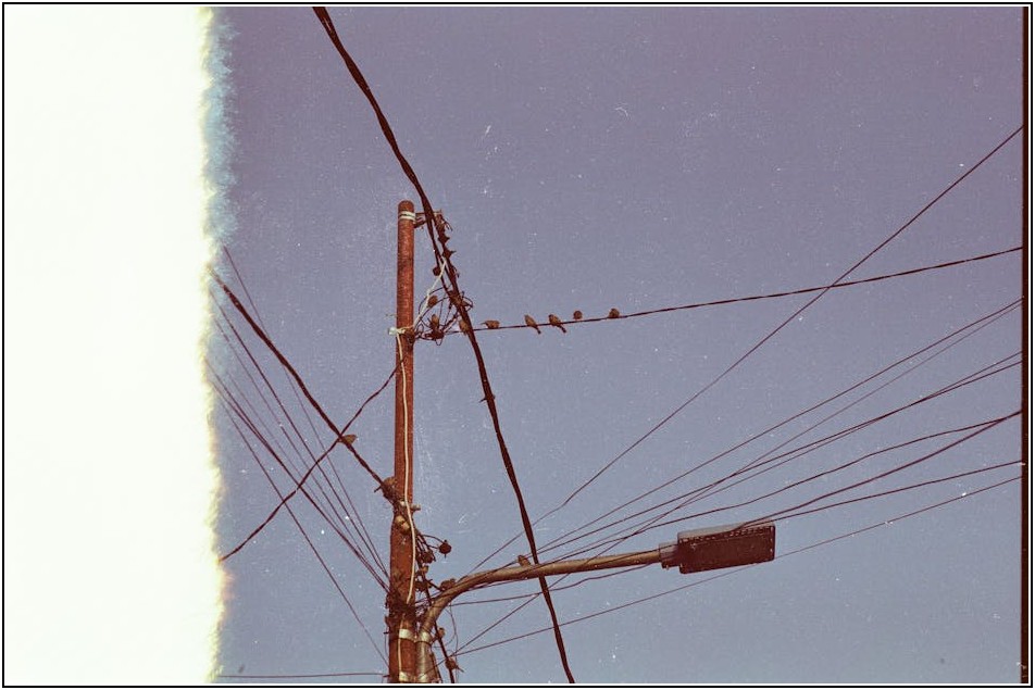 배전함, 이것만은 꼭! 안전 사용법 A to Z