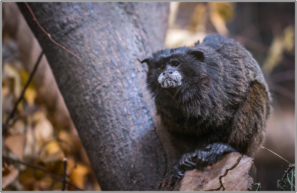 새로운 수익 창출의 기회, 아마존 판매 시작하기