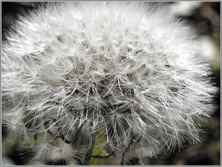 음주운전 초범 벌금, 합리적인 해결 방안 모색