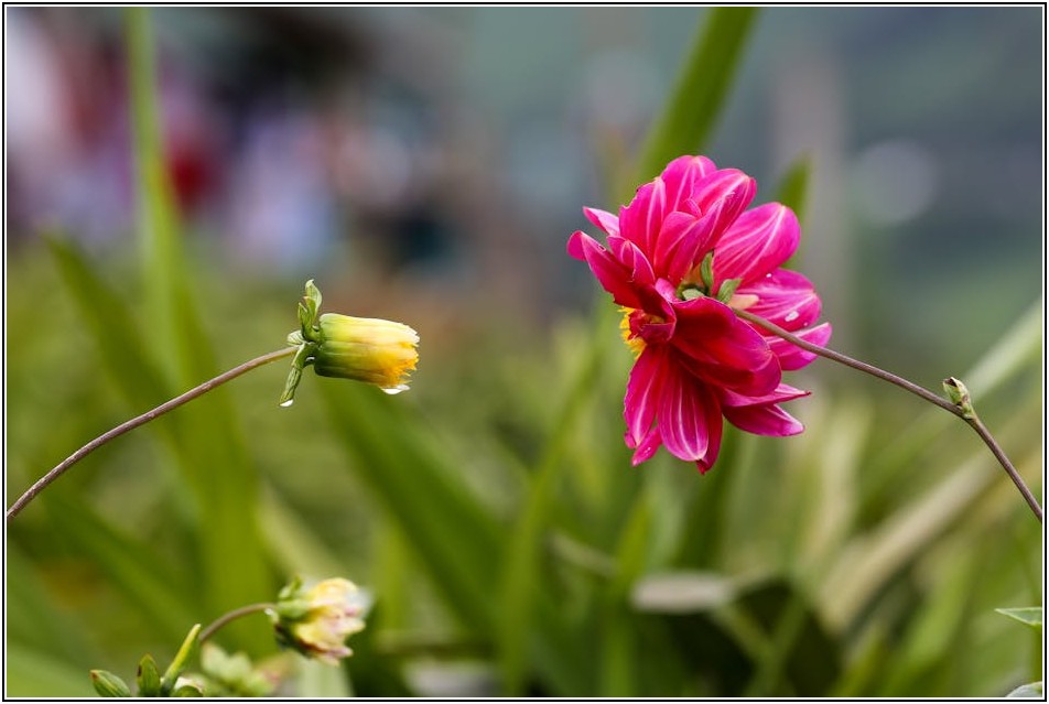 시선 사로잡는 예쁜 간판, 종류별 장단점 비교 분석