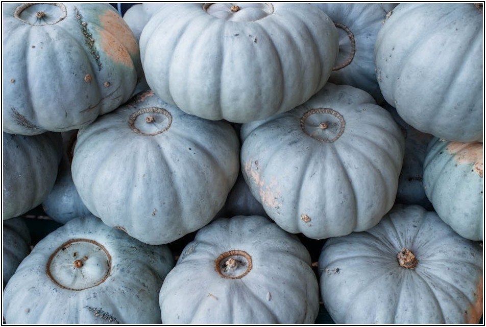 내 몸을 지키는 첫걸음, 식품위생법 완전 정복