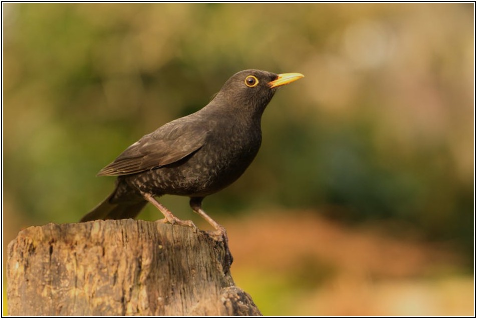 집수조 누수 점검, 물 낭비 막는 확실한 방법