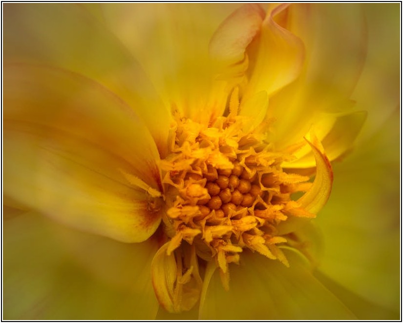 경쟁사 분석, 왜 중요할까? 순위 상승을 위한 완벽 가이드