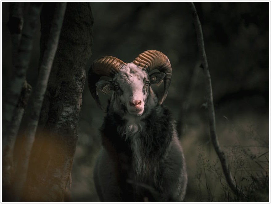 쓰레기 줄이는 대형 지퍼백, 친환경 생활 실천법