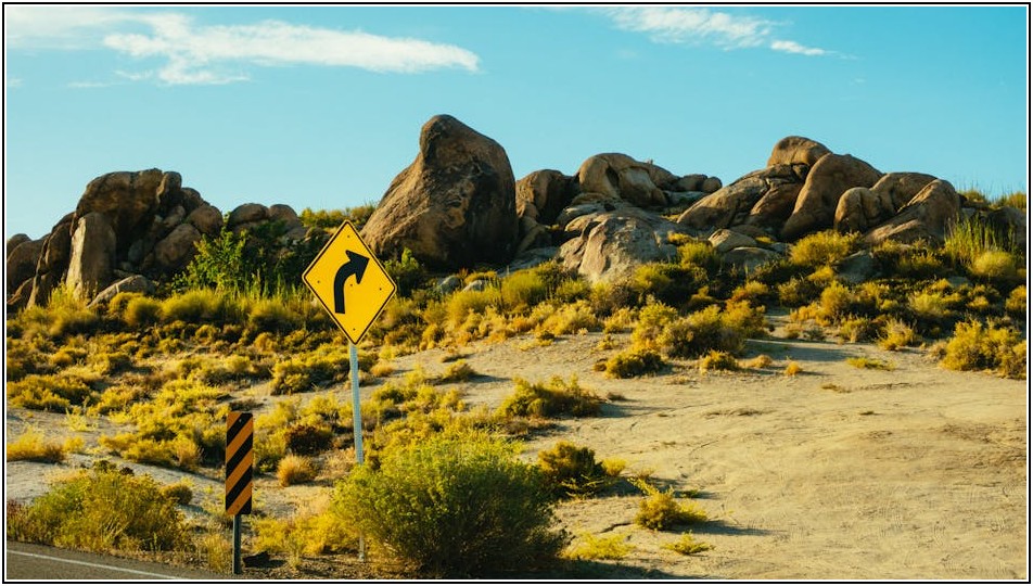 유도원 필수 가이드: 법규부터 실무 팁까지