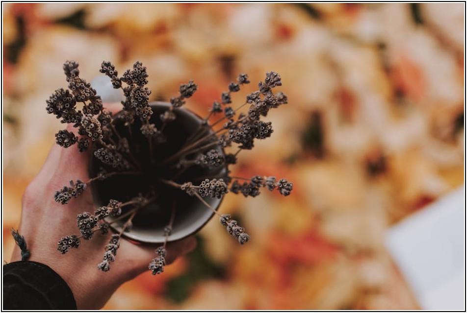 한방 찻집: 힐링과 건강을 동시에 잡는 비법