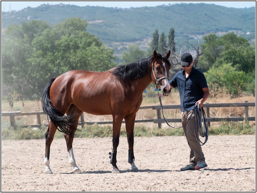 내일배움카드로 재직자 직무 능력 UP! 완벽 활용 가이드