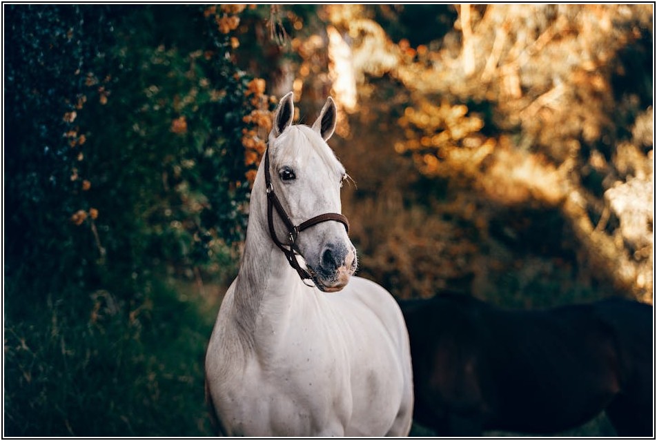 인생의 방향 설정: 하고 싶은 일 탐색 가이드