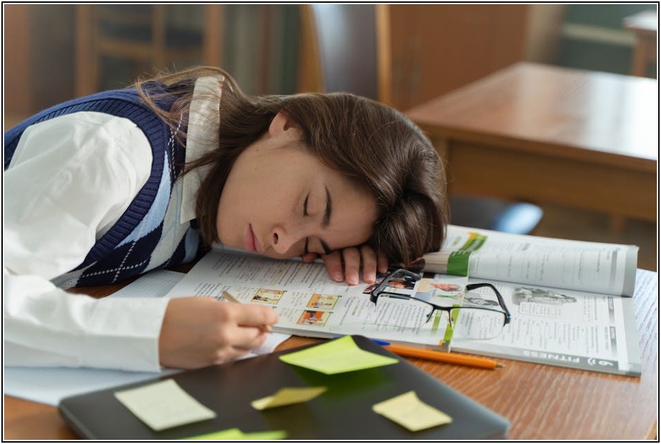 우리 아이 국제중, 어떤 학교가 맞을까? 학교별 완벽 가이드