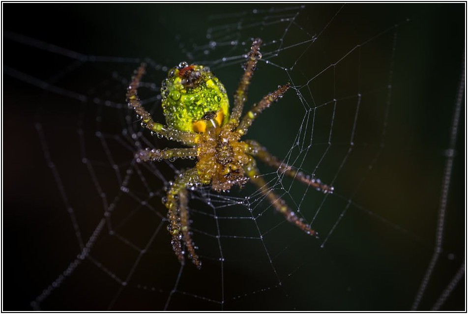 욕실 악취와 벌레 차단! 화장실 트랩 설치 가이드