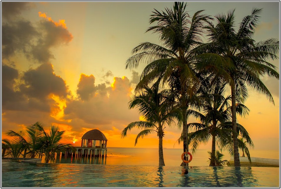 나를 위한 든든한 보호막, 사대보험 완벽 가이드