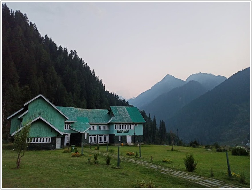 옥상녹화 A to Z: 우리 집 옥상 정원 꾸미기 가이드