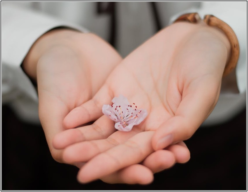 강서구 피부샵, 후회 없는 선택을 위한 완벽 가이드