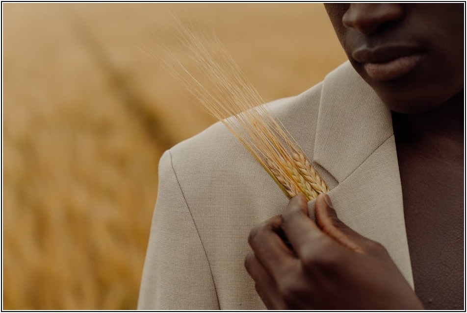 AI 사진관: 증명사진부터 여권사진 규격까지 한 번에