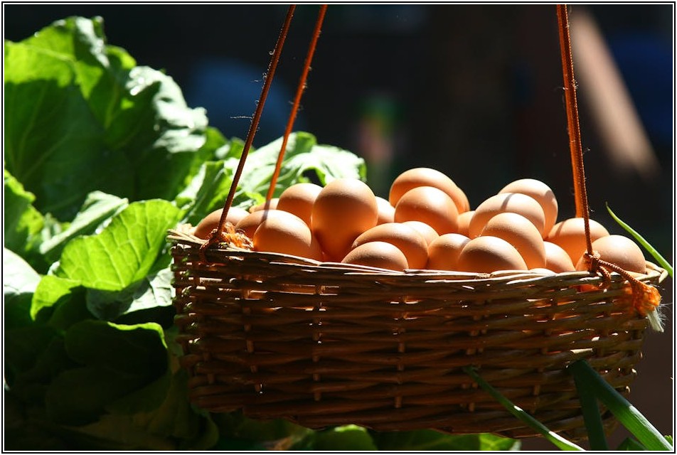 눅눅한 소금은 이제 그만! 곰팡이 방지 보관 꿀팁