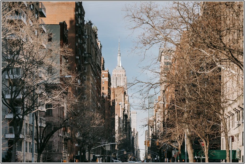 세교지구, 지금 투자해야 할 이유: 미래 가치 분석