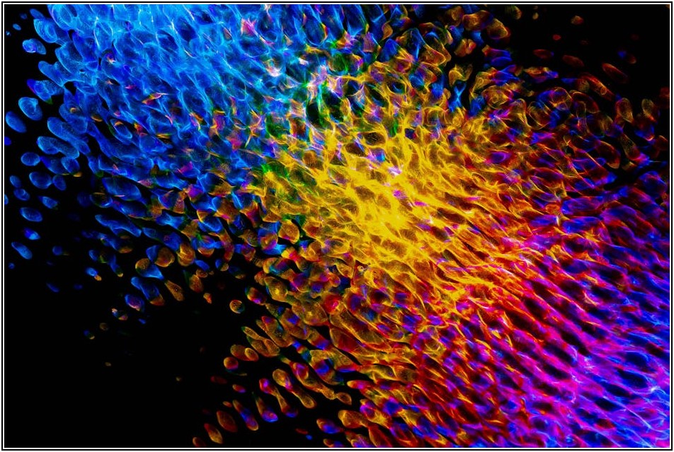 환갑잔치 현수막, 똑똑하게 제작하는 방법