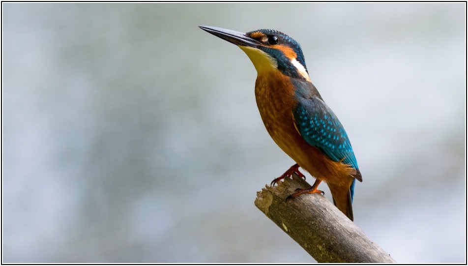 작은 공간도 스마트하게, 소형 쓰레기통 활용 백서