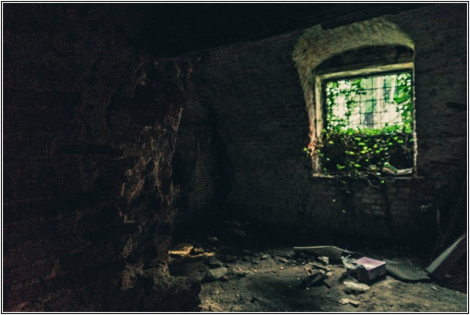 내열벽돌 선택 가이드: 용도별 최적의 벽돌 찾기