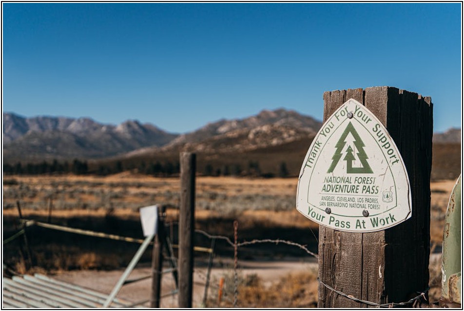 면허 다시 딸까? 운전면허 재취득 학원 독학 장단점 분석