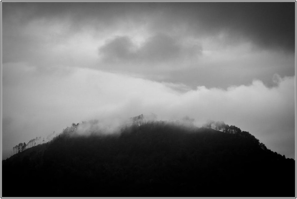 경일대 사진학과: 당신의 예술적 재능을 꽃피우는 곳