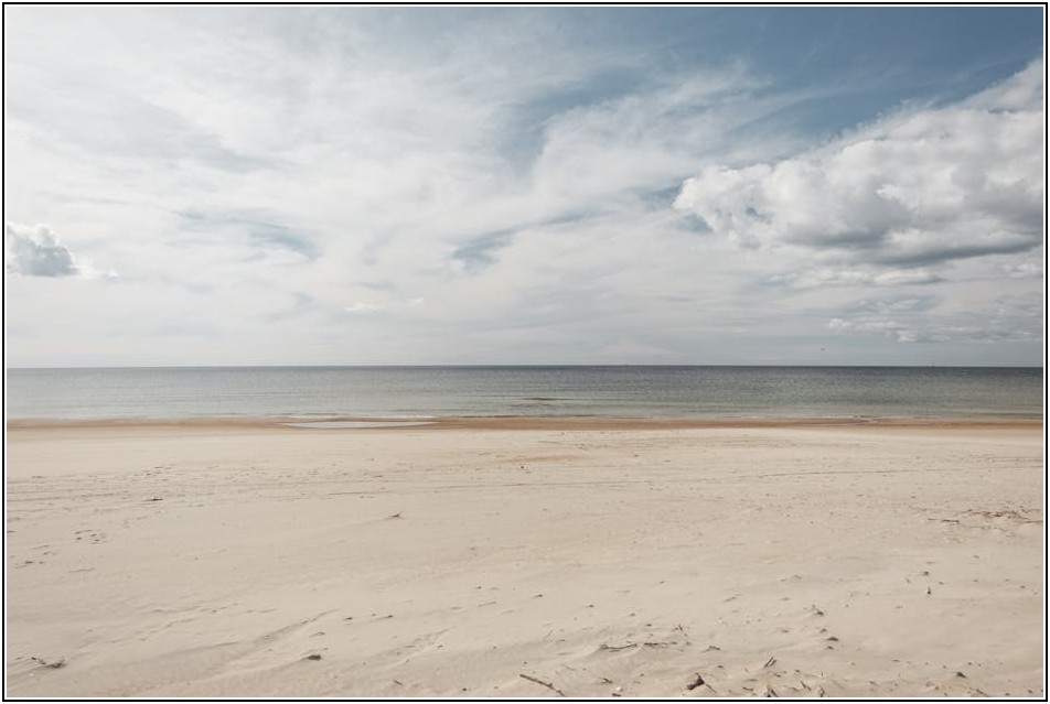 성공적인 본도시락 가맹점 창업, 필수 정보 총정리