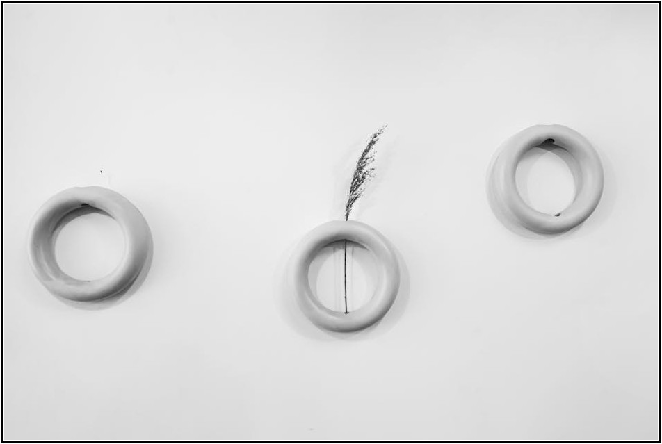 로얄시리즈 관리법: 시간 초월 아름다움 유지 비결