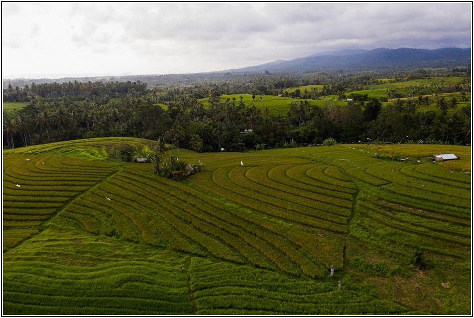 코팅 스프레이 사용법: 실수 없이 최상의 결과 얻기