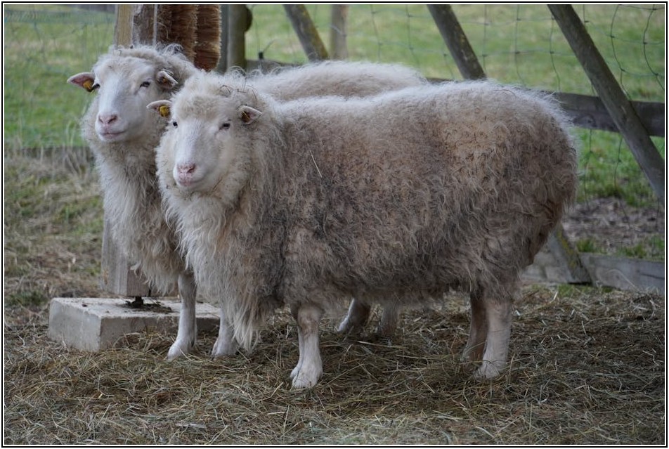 실전 국내 주식 투자, 성공 사례와 핵심 투자 노하우
