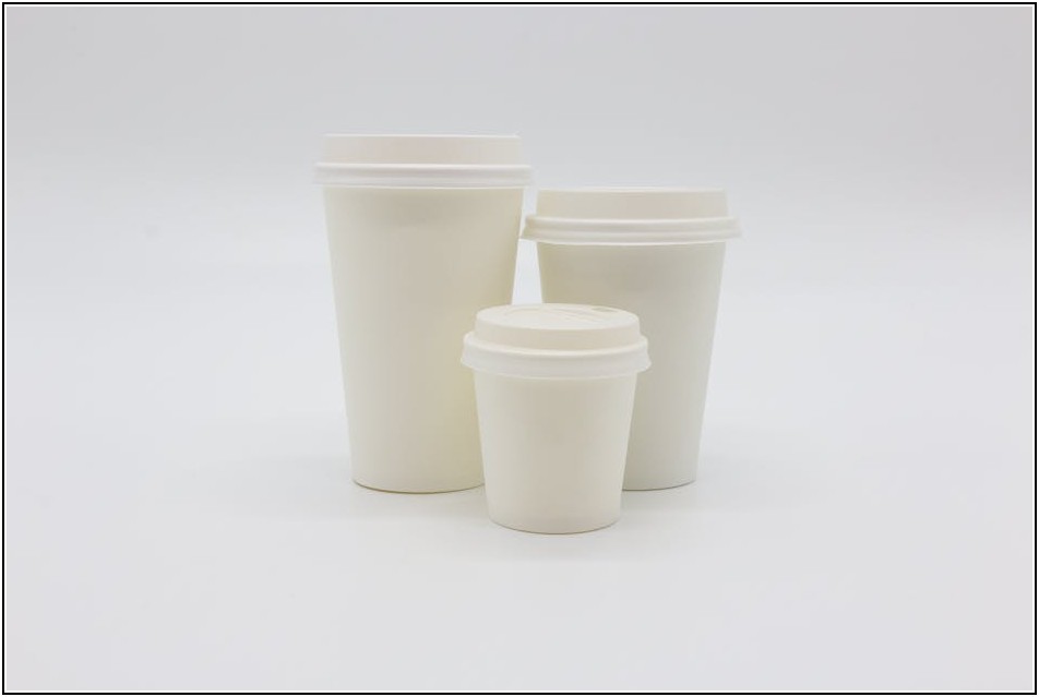 나의 선택이 곧 미래, 친환경 브랜드와 함께하는 여정