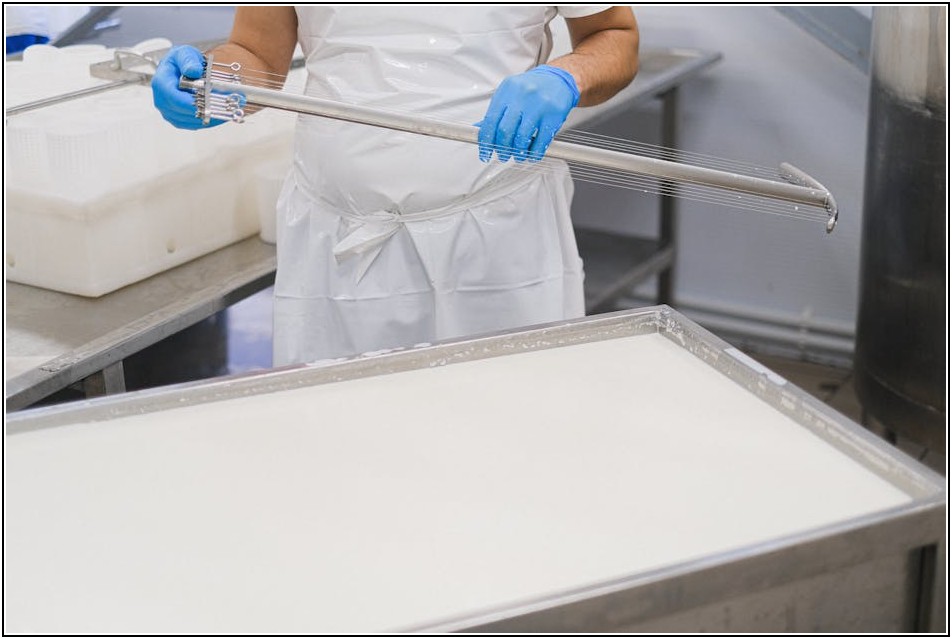 2024년 식품위생법 최신 정보 총정리