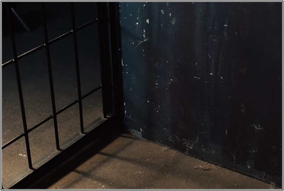 성범죄, 죄의 무게에 따른 형량 및 처벌 기준 상세 안내