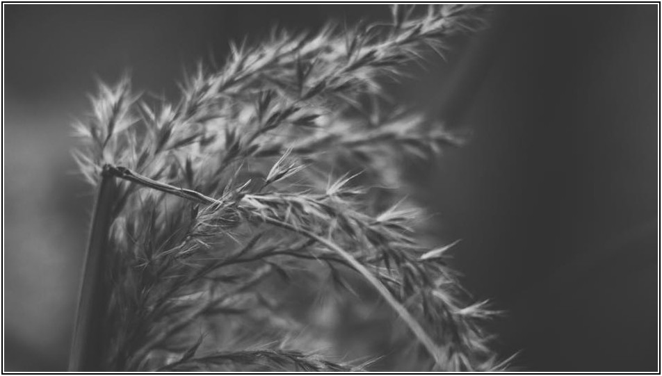 지구를 지키는 작은 실천, 친환경 빨대 관리 노하우