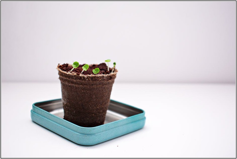 고장 없이 오래 쓰는 매직캔 휴지통 관리 꿀팁