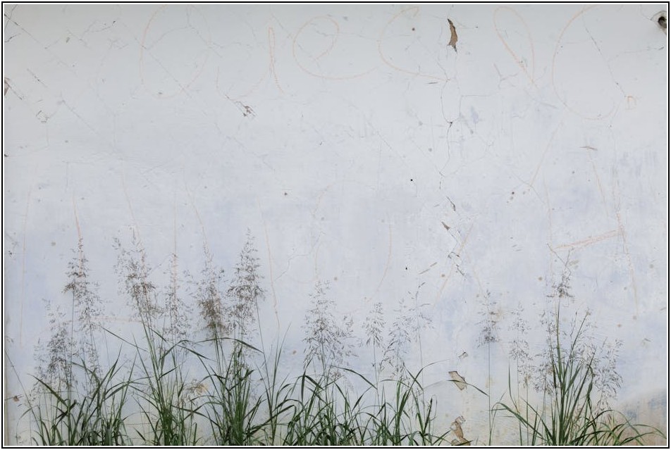 외벽 크랙, 전문가처럼 직접 보수하는 비용 절감 꿀팁