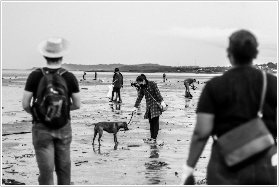 50리터 쓰레기 봉투, 가격 비교 및 추천 정보
